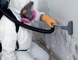 Mold Odor Removal Services in Duquesne, PA